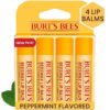 Burt's Bees Lip Balm