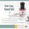 duri Rejuvacote 1 Nail Growth System - Original Maximum Strength Formula - Nail Strengthener and Nail Growth - Base and Top Coat - 0.45 fl. oz. - Image 2