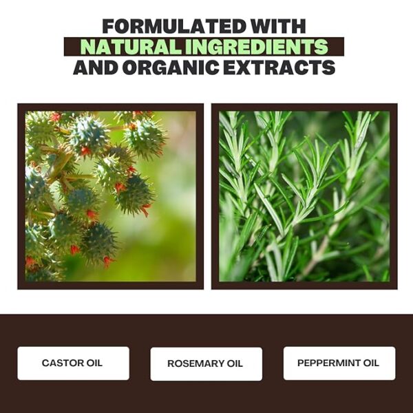 Castor Oil Hair Mask 8 Fl Oz - Infused with Rosemary, Peppermint, Grapefruit and Ginger Oil - Fuller and Thicker Looking Formula - Last Long with Immediate Effect - Image 5