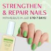 Nutra Nail 5 to 7 Day Growth Treatment - Fast Keratin Nail Hardener & Nail Strengthener for Thin Nails, Brittle & Damaged (0.47 Fl Oz) - Image 2