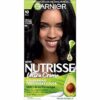 Garnier Nutrisse Nourishing Hair Color