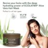 Organic Aloe Vera Hair Mask - 97.2% Natural ingredients - Hydrating and Fortifying - Vegan - Shea Butter, Rice Proteins for Deep Conditioning and Strengthening - ECOLATIER 8.5 Fl Oz / 250m - Image 2
