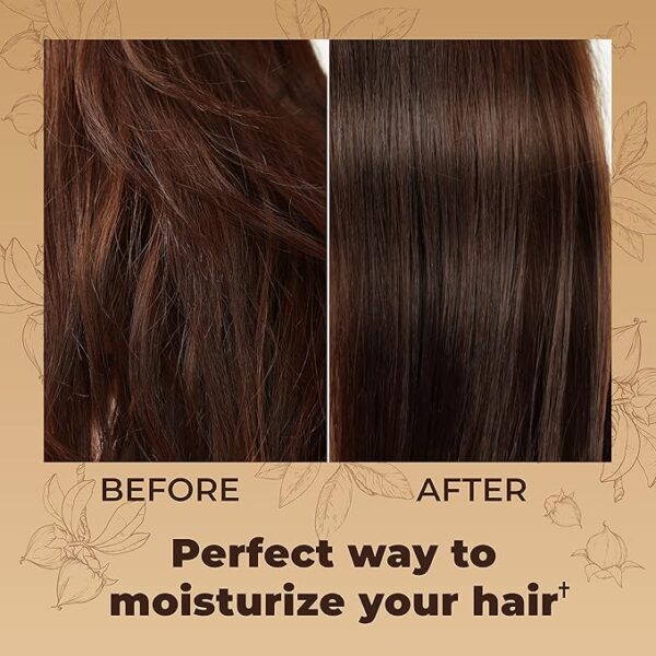 Hair Mask for Dry Damaged Hair with Collagen, Biotin, Argan Oil - Helps Repair Hair and Reduce Damage from Heat, Sun, Coloring - Moisturizing Keratin Hair Mask for Split Ends, Hair Loss and Breakage - Image 3