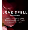 Victoria's Secret Love Spell 2 Piece Mini Mist & Lotion Gift Set - Image 3