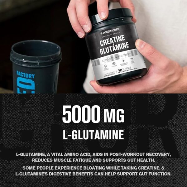 Jacked Factory Creatine + Glutamine - Creatine Supplement with L-Glutamine for Muscle Recovery, Muscle Growth, Increased Strength, Enhanced Energy Output, and Gut Health - 30 Servings, Unflavored - Image 4