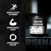 Jacked Factory Creatine + Glutamine - Creatine Supplement with L-Glutamine for Muscle Recovery, Muscle Growth, Increased Strength, Enhanced Energy Output, and Gut Health - 30 Servings, Unflavored - Image 6