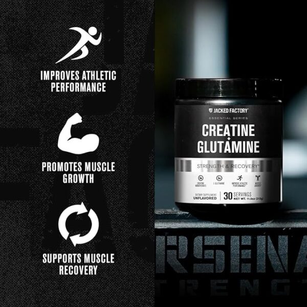 Jacked Factory Creatine + Glutamine - Creatine Supplement with L-Glutamine for Muscle Recovery, Muscle Growth, Increased Strength, Enhanced Energy Output, and Gut Health - 30 Servings, Unflavored - Image 6