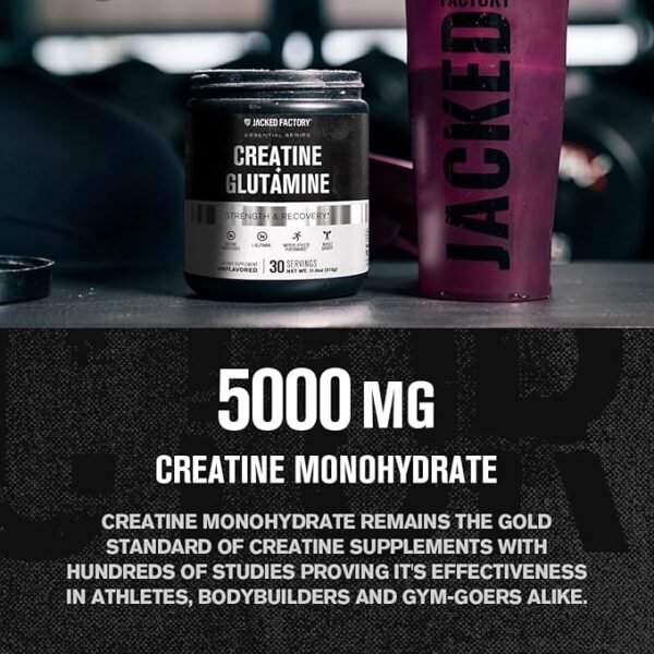 Jacked Factory Creatine + Glutamine - Creatine Supplement with L-Glutamine for Muscle Recovery, Muscle Growth, Increased Strength, Enhanced Energy Output, and Gut Health - 30 Servings, Unflavored - Image 3