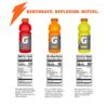 Gatorade Thirst Quencher Sports Drink, Variety Pack, 20oz Bottles, 12 Pack, Electrolytes for Rehydration - Image 2
