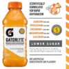 Gatorlyte Rapid Rehydration Electrolyte Beverage, 3 Flavor Variety Pack, 20 Fl Oz (Pack of 12) - Image 2