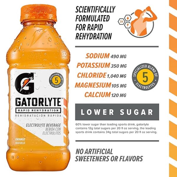 Gatorlyte Rapid Rehydration Electrolyte Beverage, 3 Flavor Variety Pack, 20 Fl Oz (Pack of 12) - Image 2