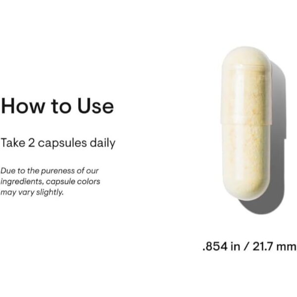 THORNE Basic Nutrients 2/Day - Comprehensive Daily Multivitamin with Optimal Bioavailability - Vitamin & Mineral Formula - Gluten, Dairy & Soy-Free - 60 Capsules - 30 Servings - Image 2