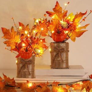 Decor Table Centerpiece with Lights