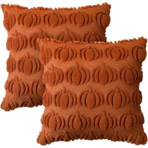 Pumpkin Caramel Throw Pillow Covers