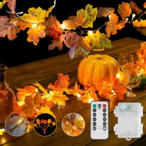 Fall Leaves with Lights